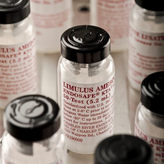 LAL Test Reagents & Accessories